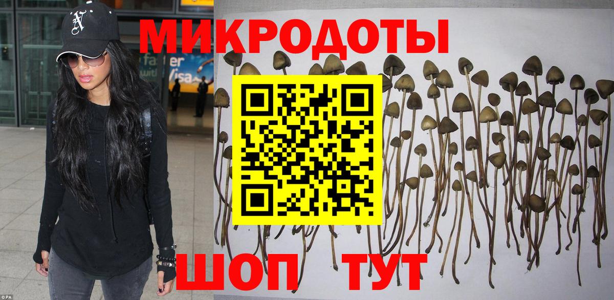 Псилоцибиновые грибы Cubensis Коломна